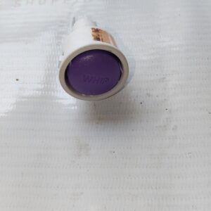 sujata mixer whip switch